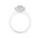 RI5083-1.258 (1).jpg