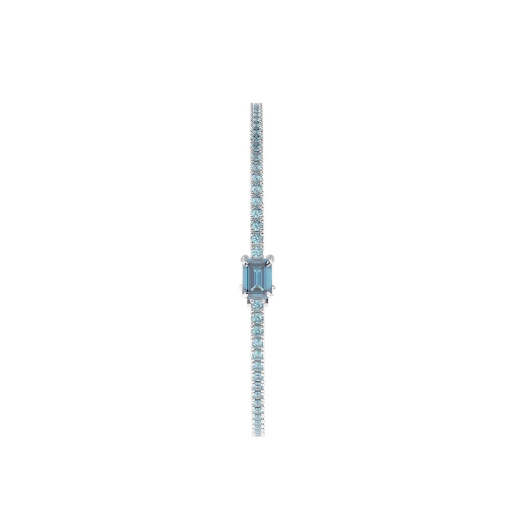 BR137-5.89.jpg