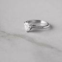 RI3955-2.jpg