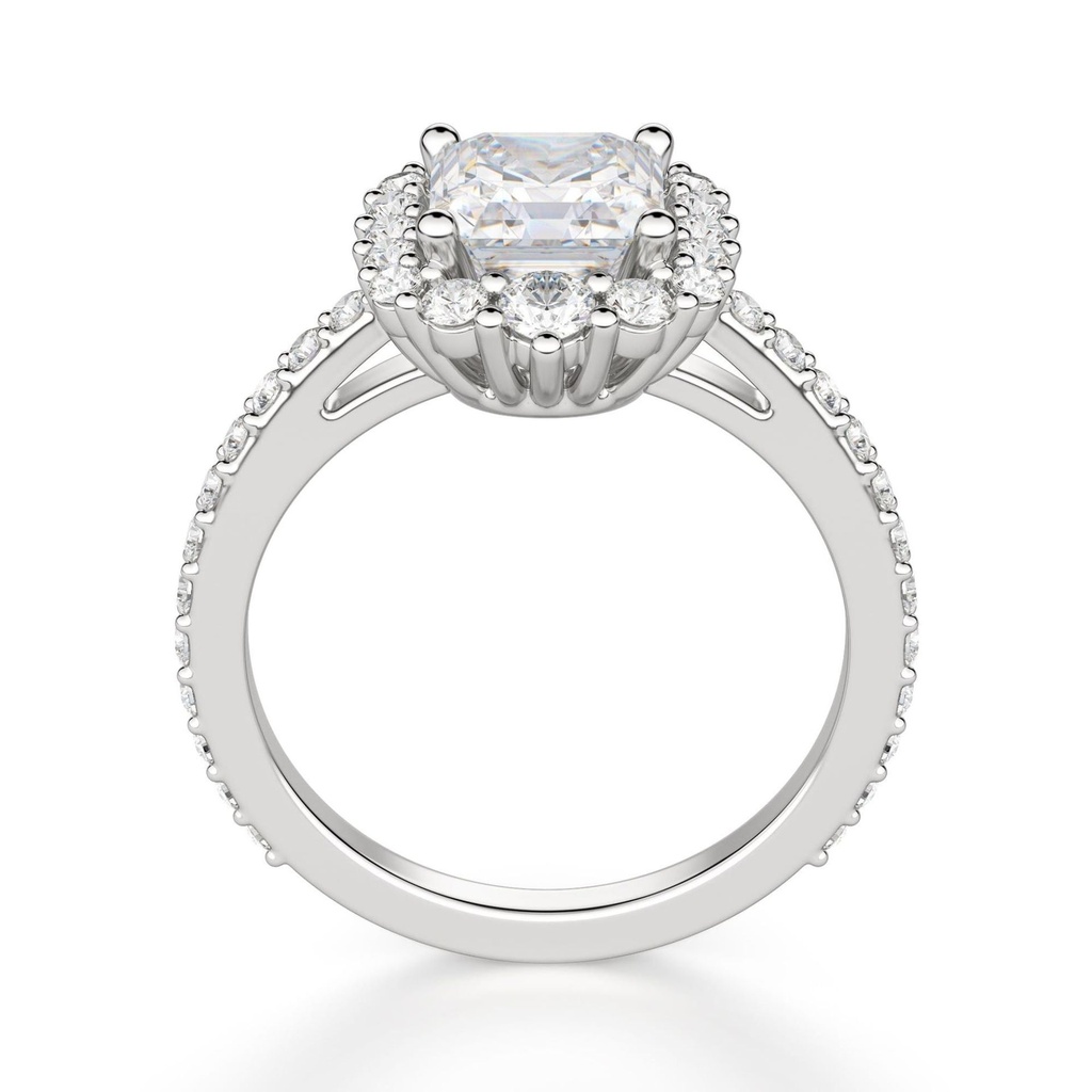 RI4568-2.jpg