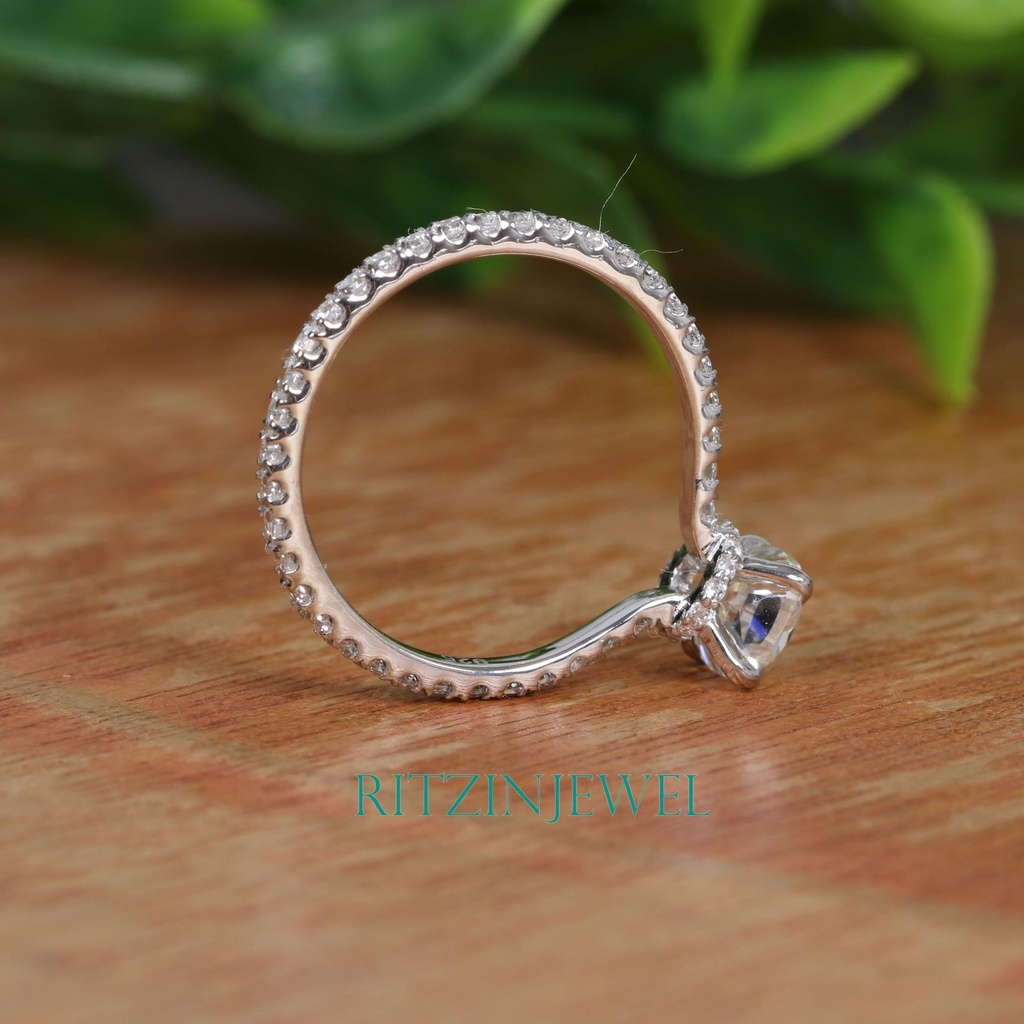 SD162-5_4000_4000 (2).jpg