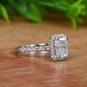 SD361 (3)_4000_4000.jpg