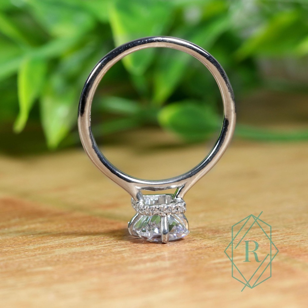 SD260 (7)_4000_4000.jpg