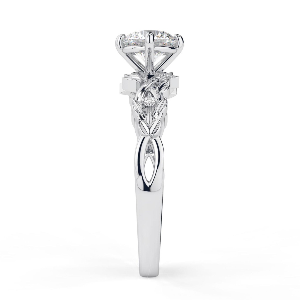 RI4798-4.199 (1).jpg