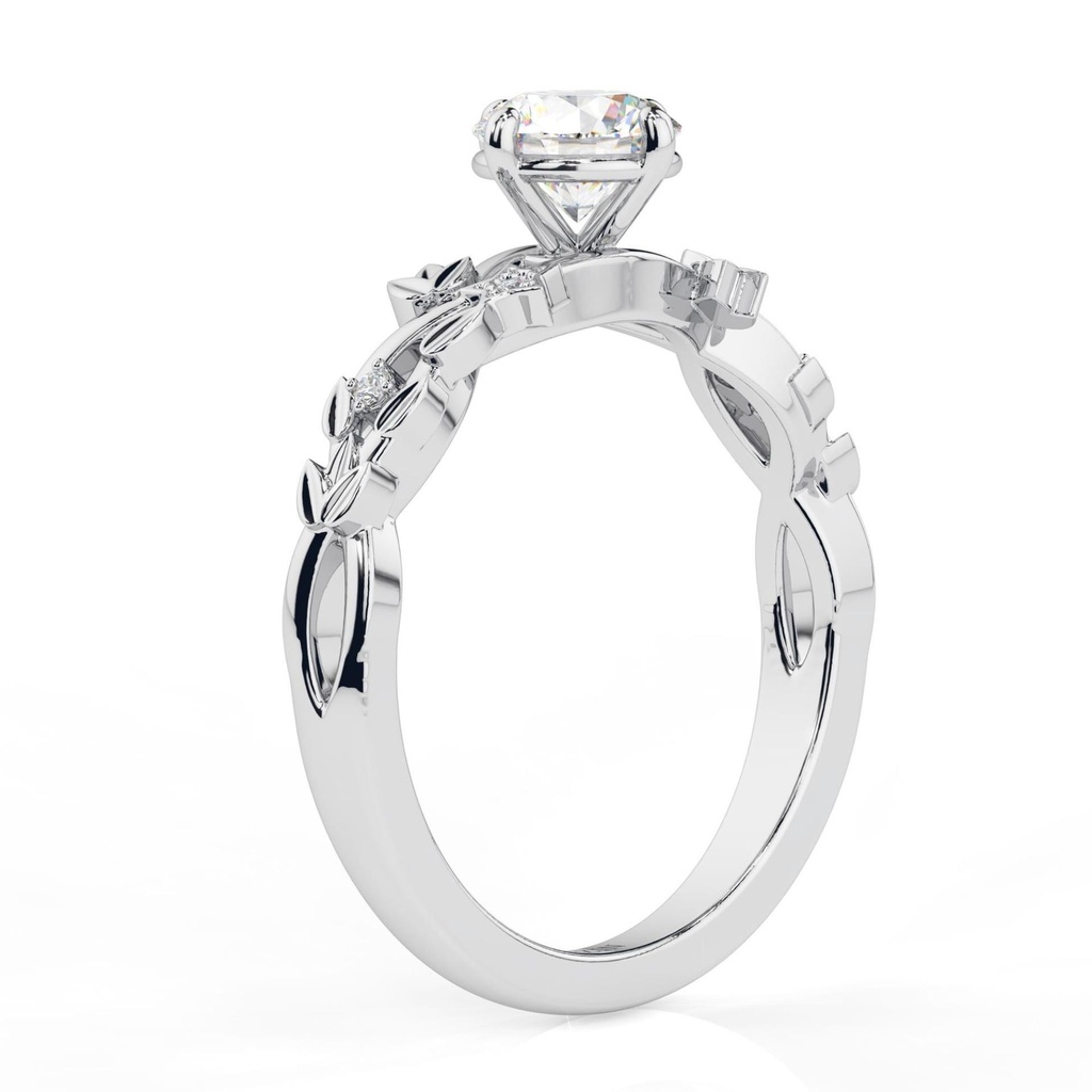 RI4798-1.199 (1).jpg