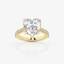  Heart Cut Hidden Halo Engagement Ring For Women