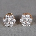 Diamond Studded earring in 14 kt yellow gold Inspiring Elegance for the Modern Woman