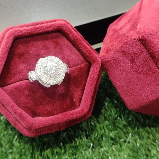 Round Cut Diamond Unique Double Halo Engagement Ring for Women