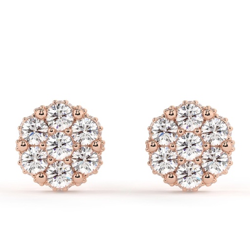 Round Cut Diamond Hidden Halo Floral Earrings For Women